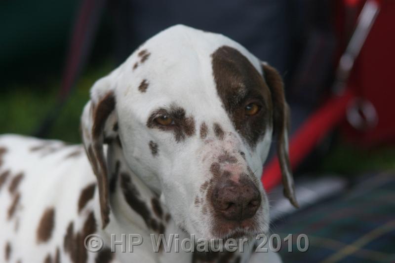 Haag2010 026.jpg
